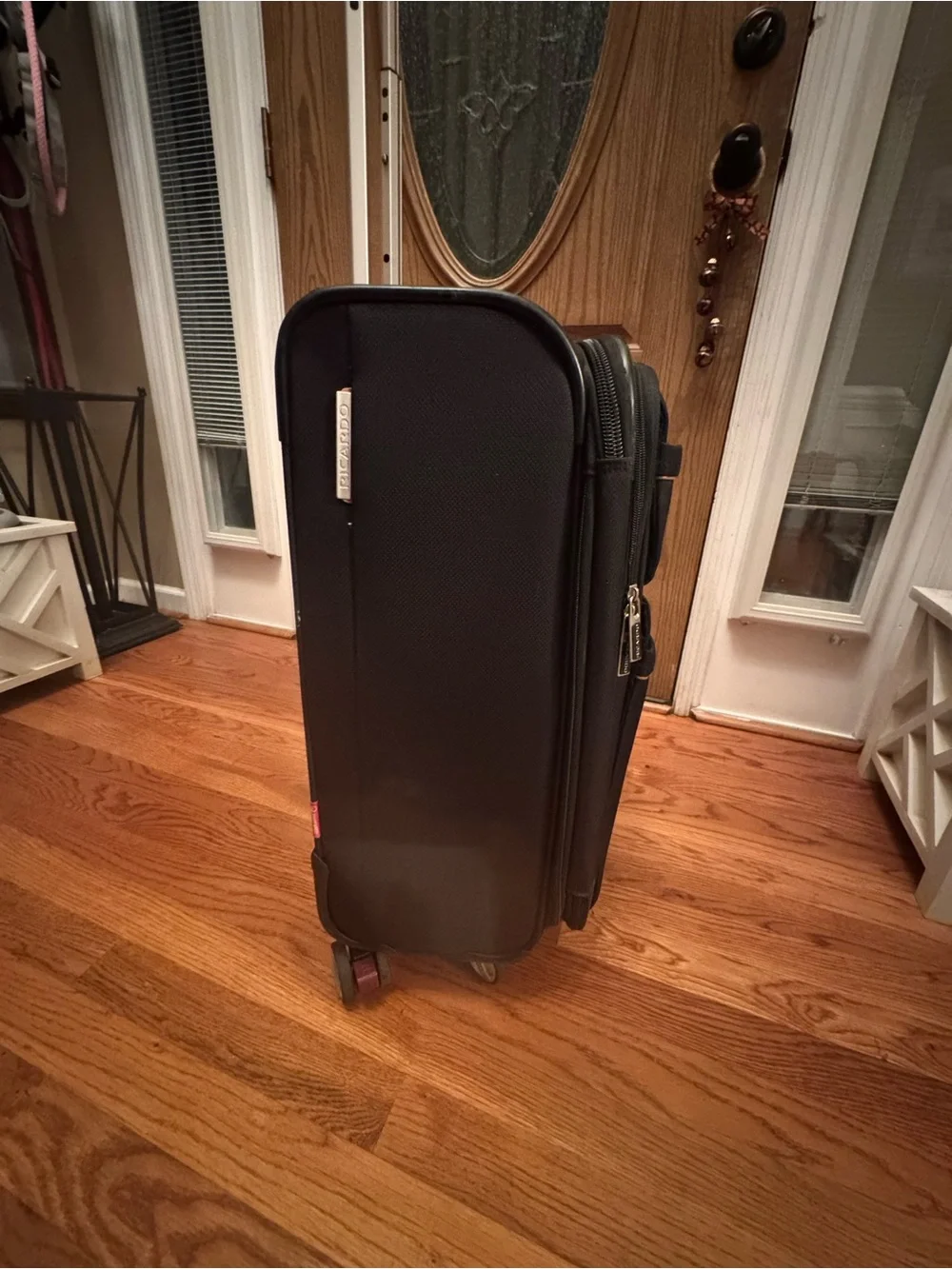 Ricardo Black Carry-On Spinner Suitcase
